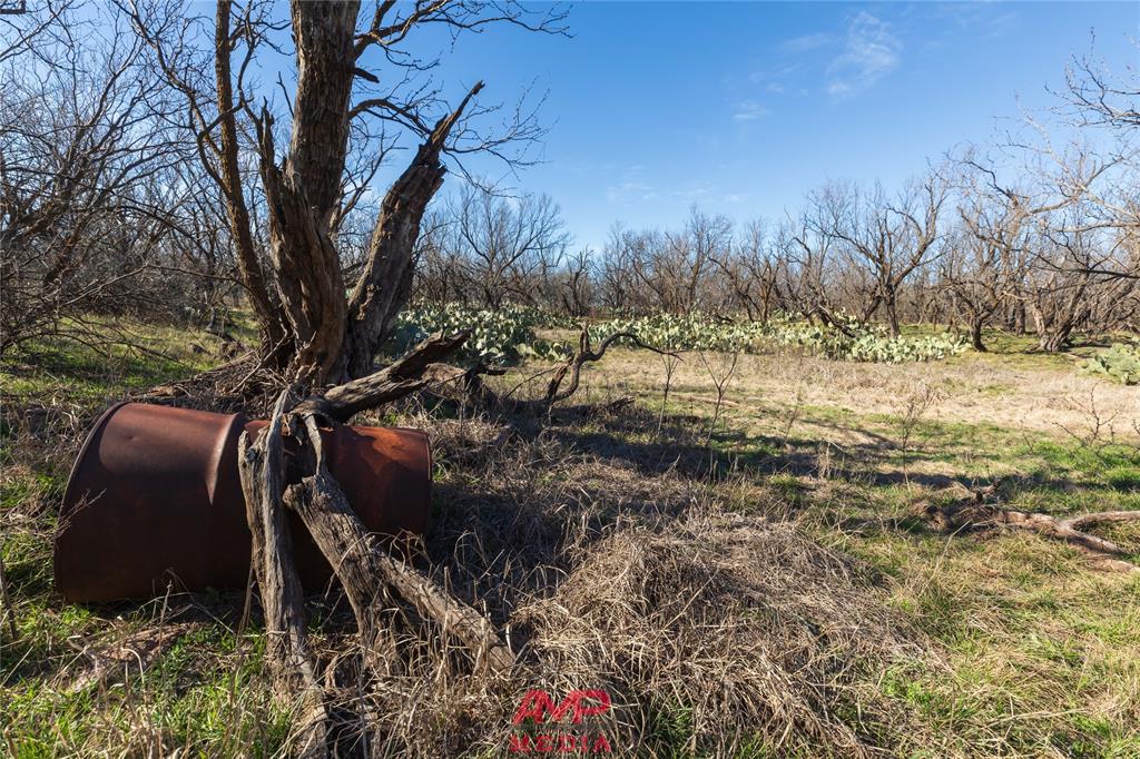Orphan and Asylum - Farm