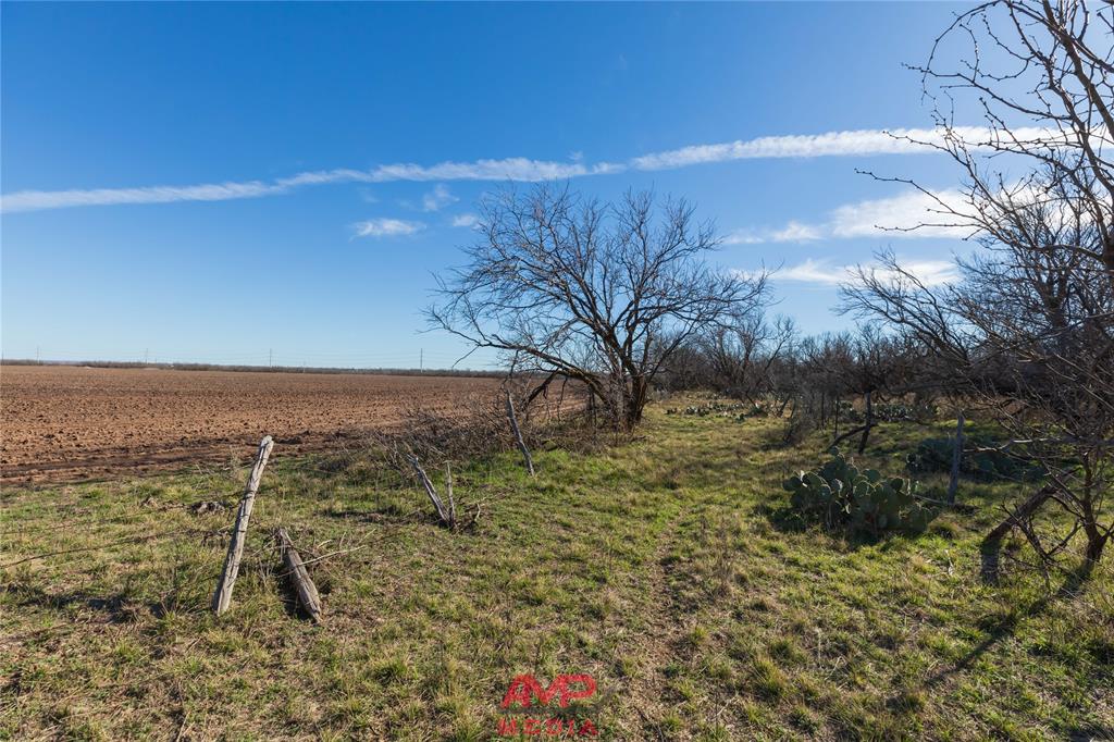 Orphan and Asylum - Farm