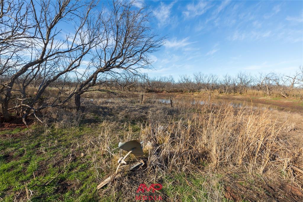 Orphan and Asylum - Farm