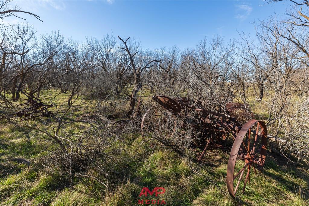 Orphan and Asylum - Farm