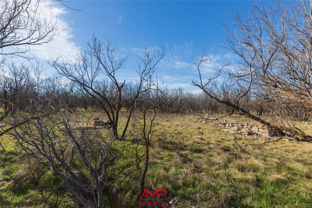 Orphan and Asylum - Farm