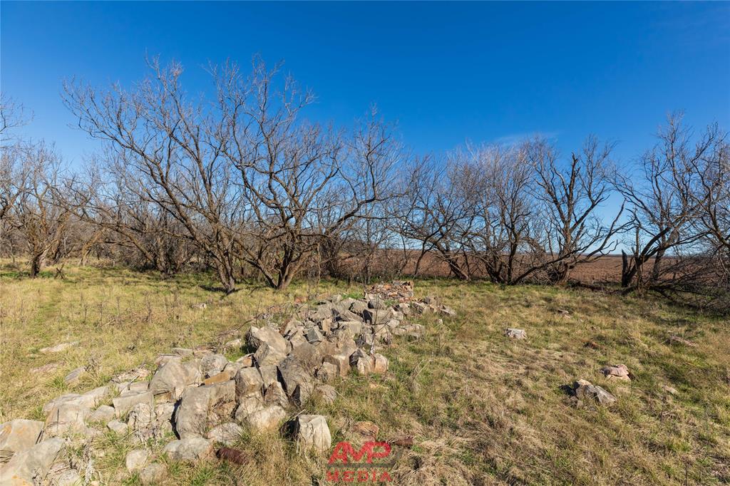 Orphan and Asylum - Farm