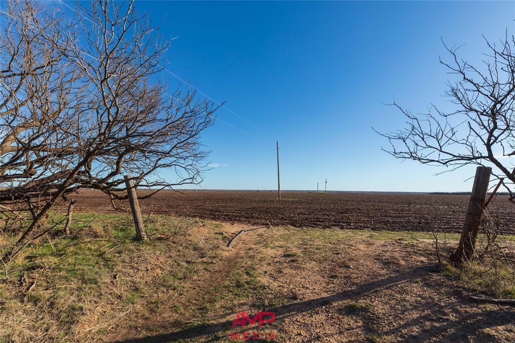 Orphan and Asylum - Farm