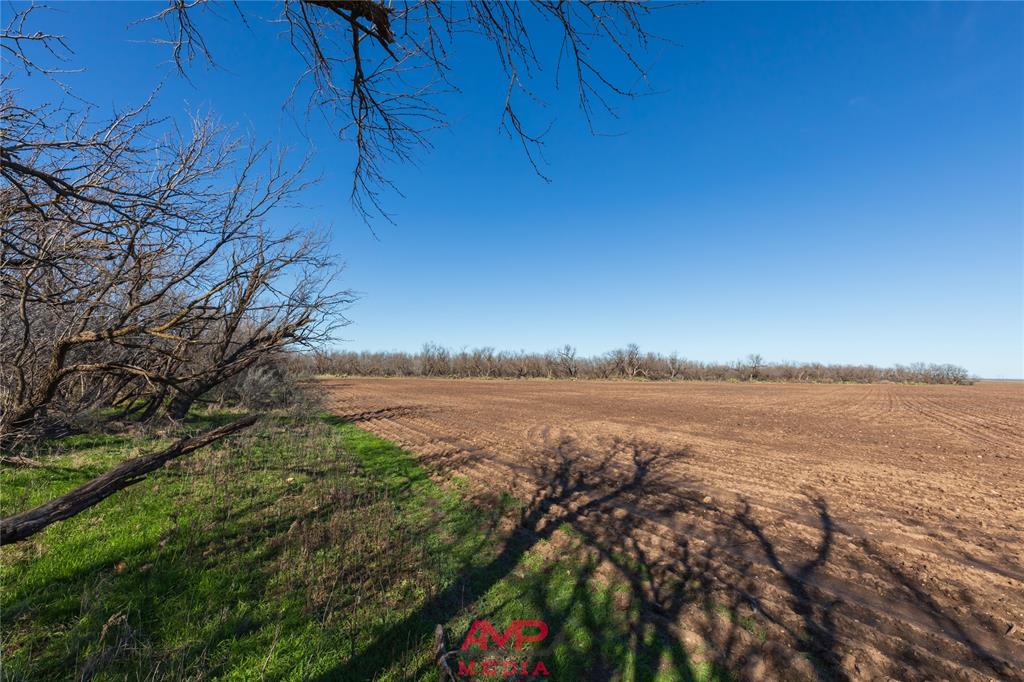 Orphan and Asylum - Farm