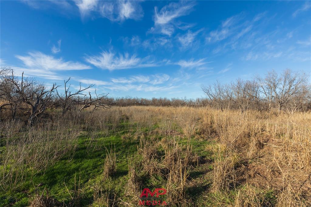 Orphan and Asylum - Farm