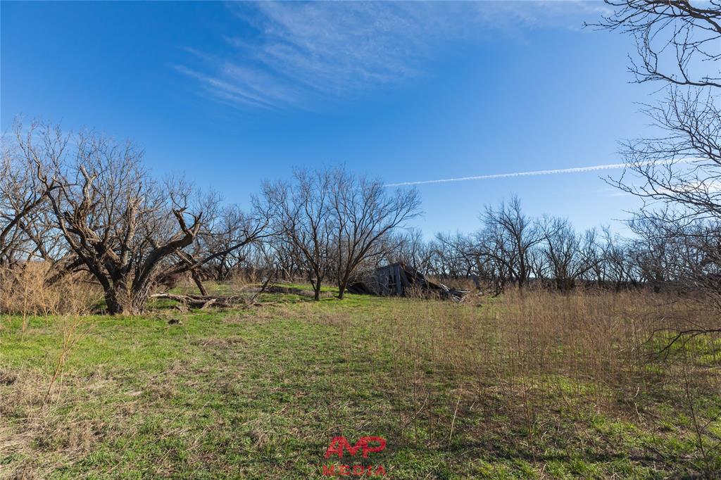 Orphan and Asylum - Farm