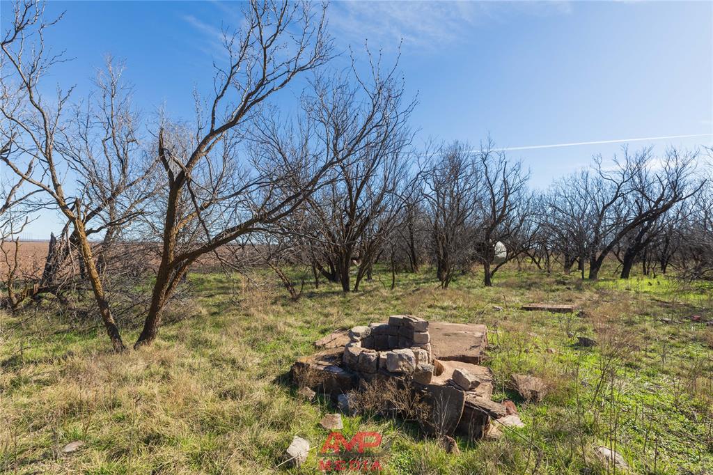 Orphan and Asylum - Farm