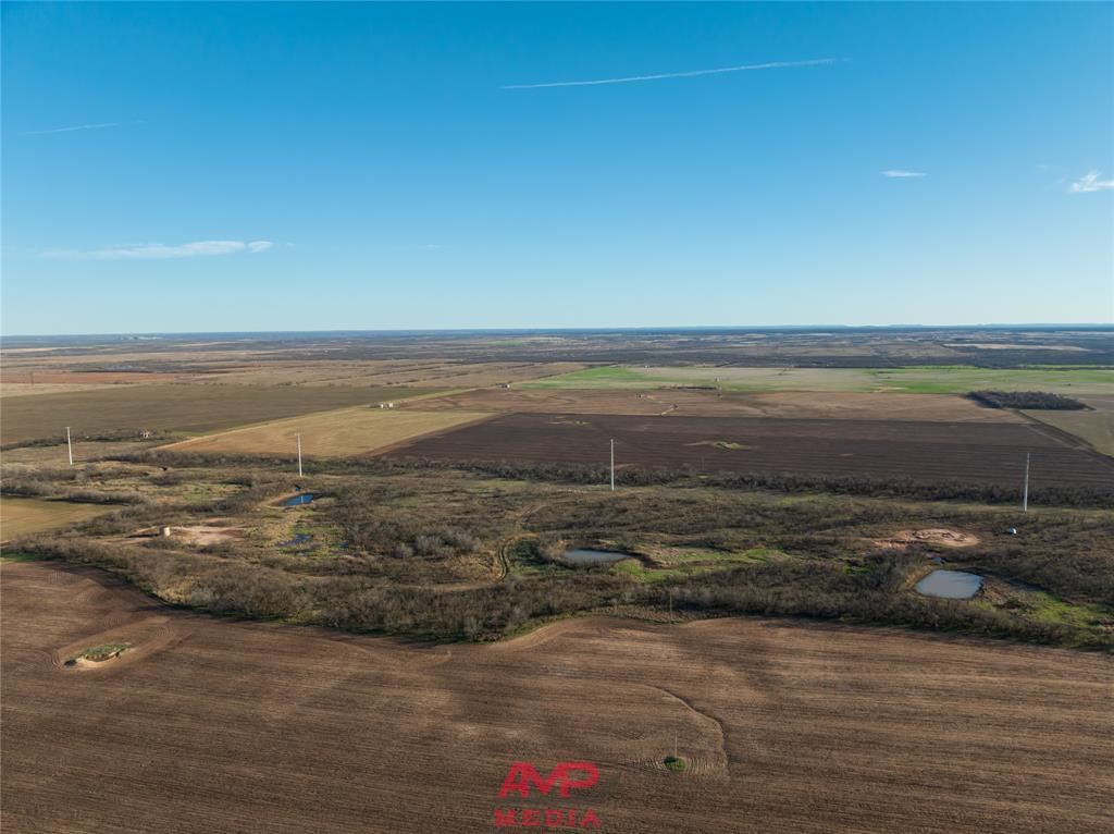 Orphan and Asylum - Farm