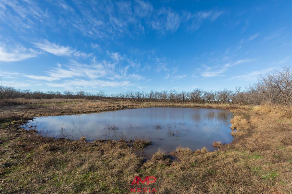 Orphan and Asylum - Farm