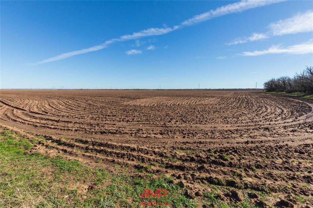 Orphan and Asylum - Farm