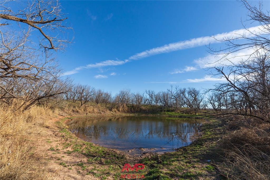 Orphan and Asylum - Farm