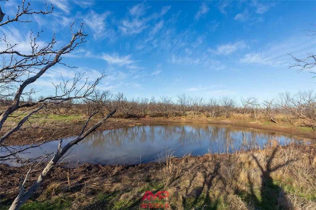 Orphan and Asylum - Farm