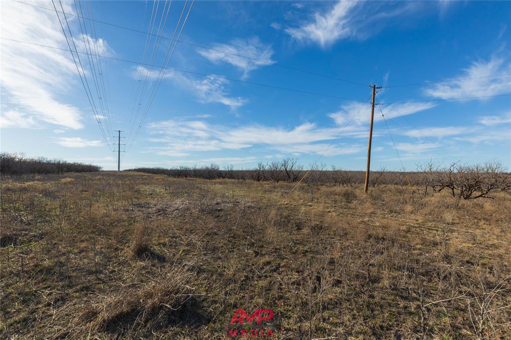 Orphan and Asylum - Farm