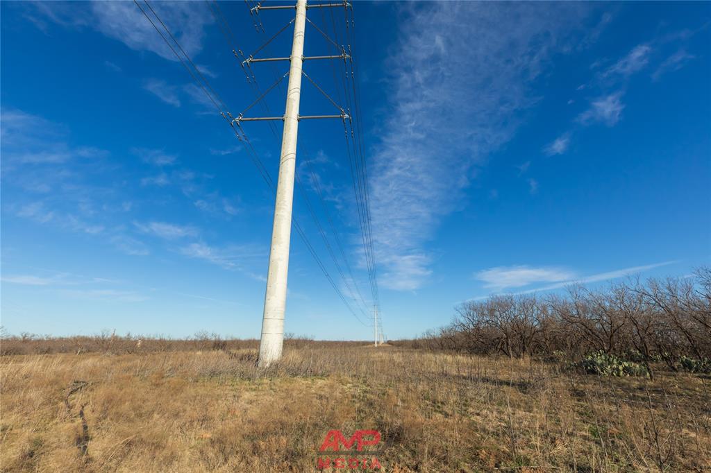 Orphan and Asylum - Farm