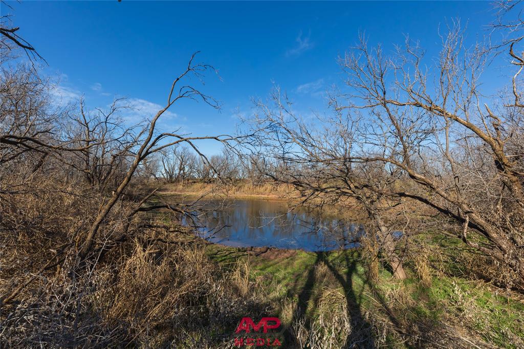 Orphan and Asylum - Farm