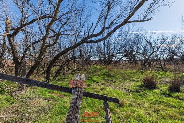 TBD COUNTY ROAD 260, AVOCA, TX 79503 - Image c062485515da5ada1faab5b58a86e36f/3193596830