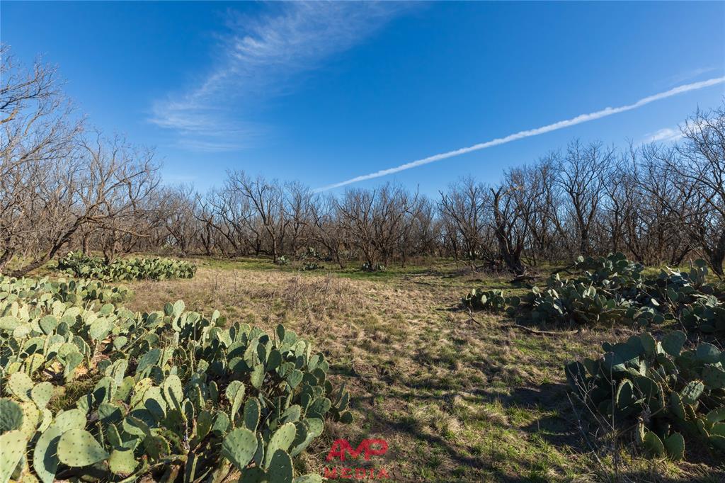 Orphan and Asylum - Farm