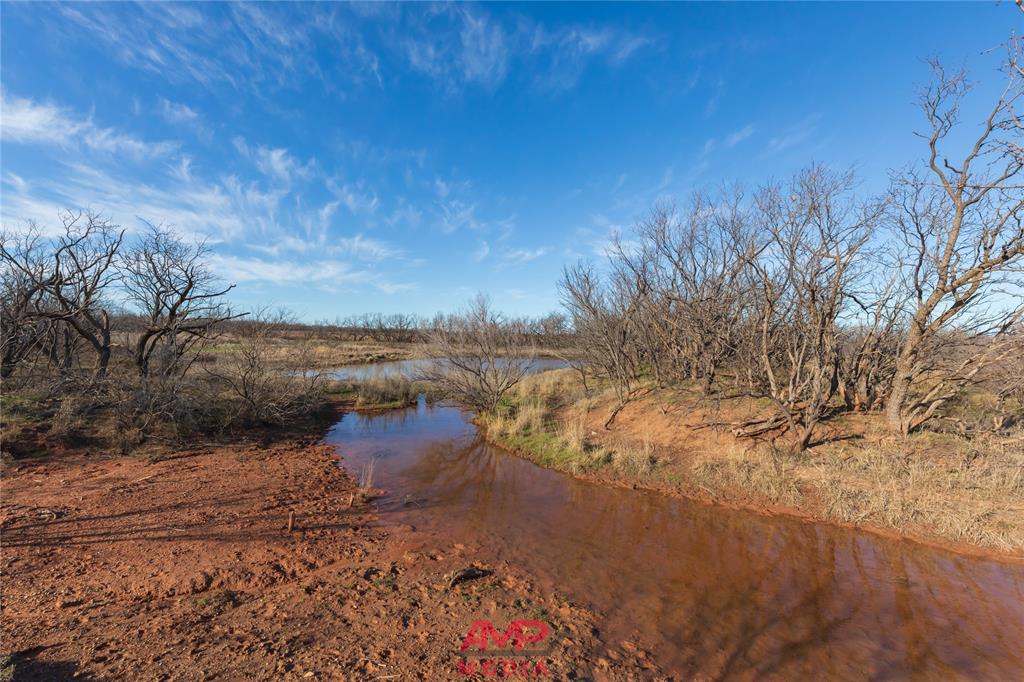 Orphan and Asylum - Farm