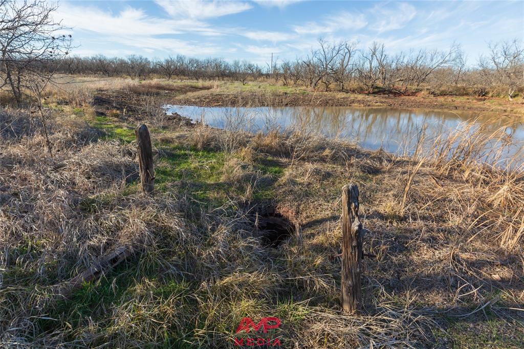 Orphan and Asylum - Farm