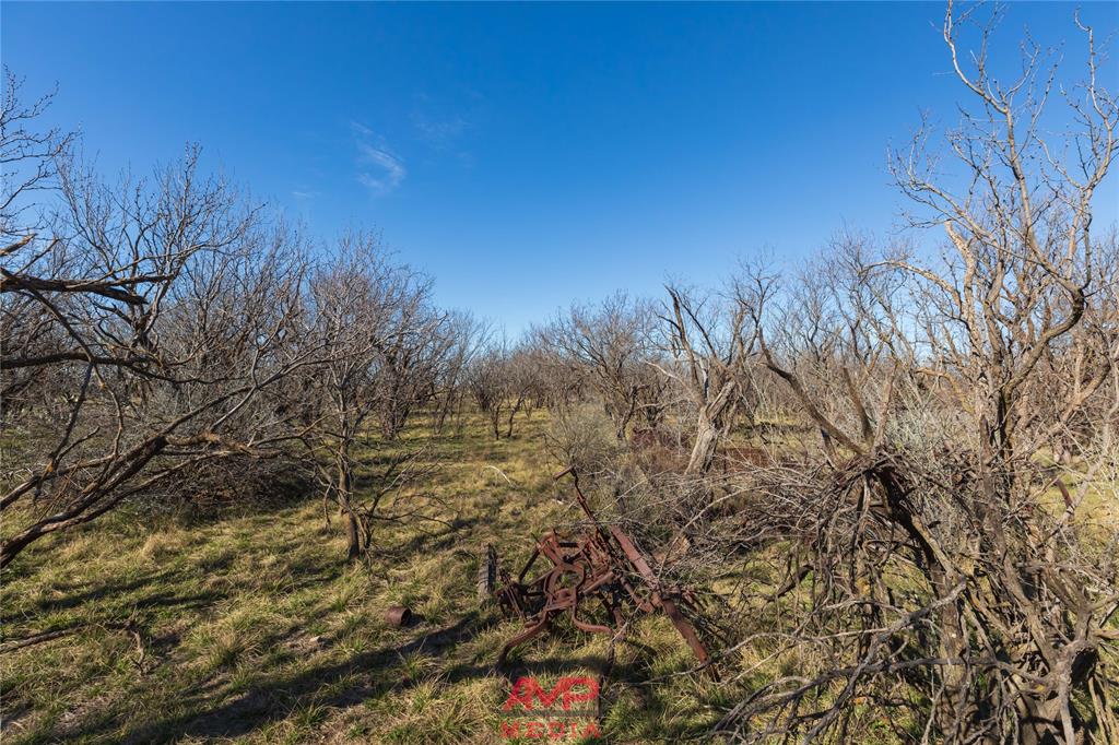 Orphan and Asylum - Farm