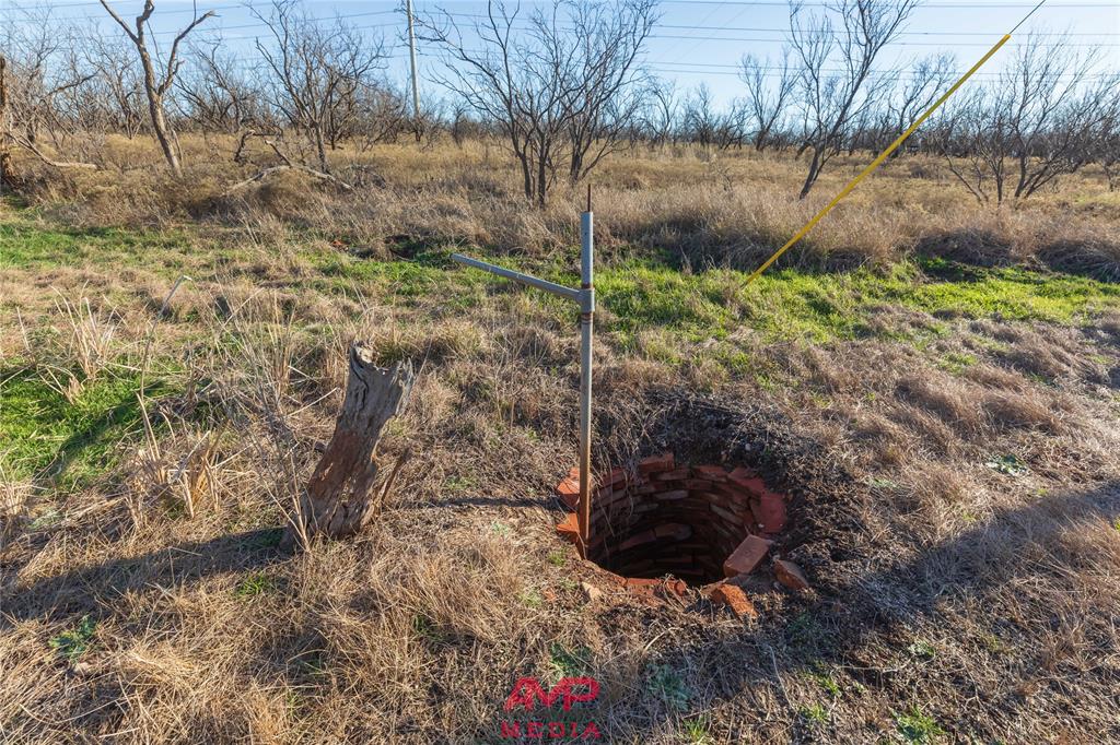 Orphan and Asylum - Farm