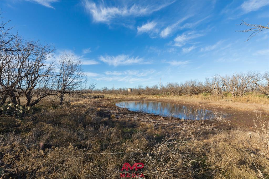 Orphan and Asylum - Farm