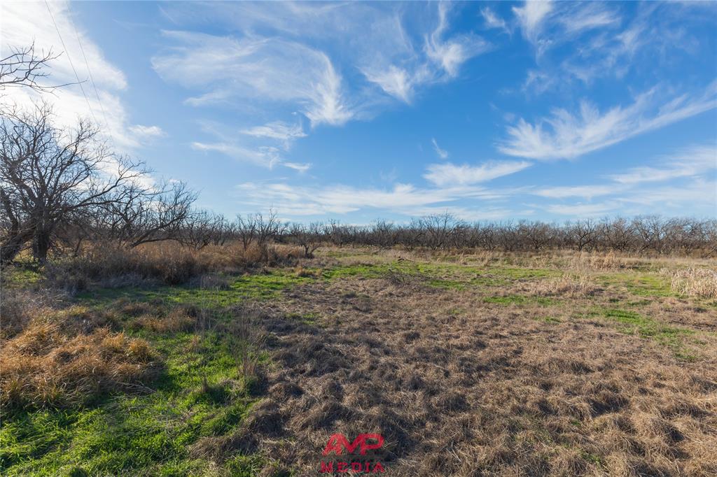 Orphan and Asylum - Farm