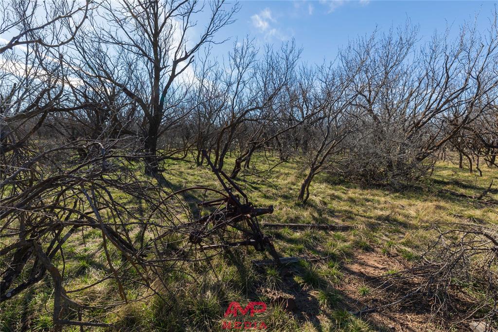 Orphan and Asylum - Farm