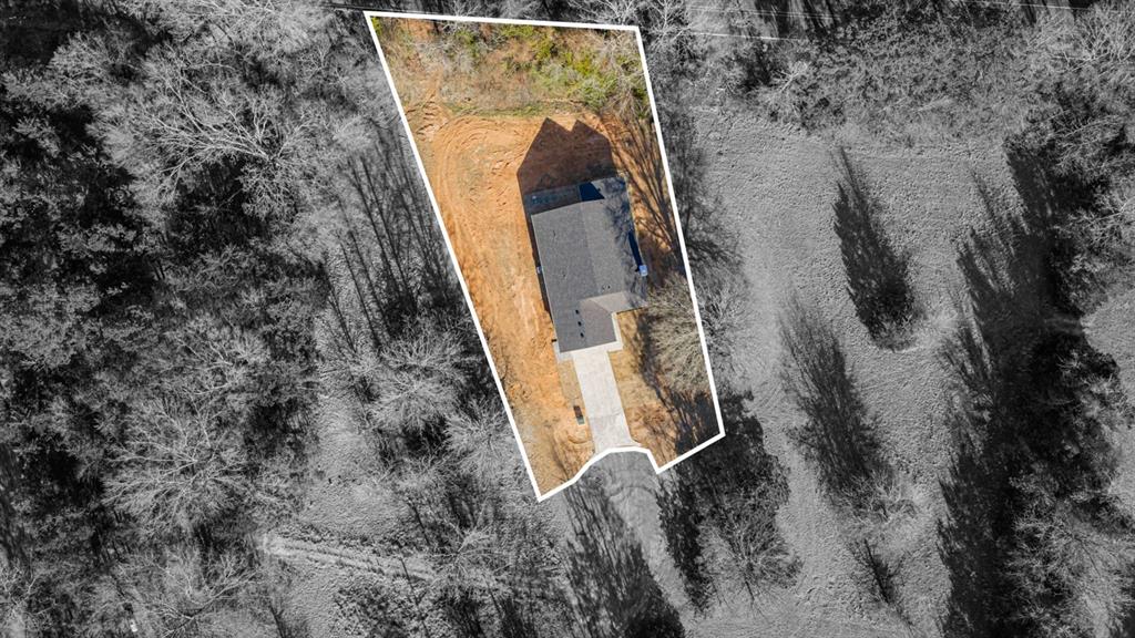 Tall Tree - Residential