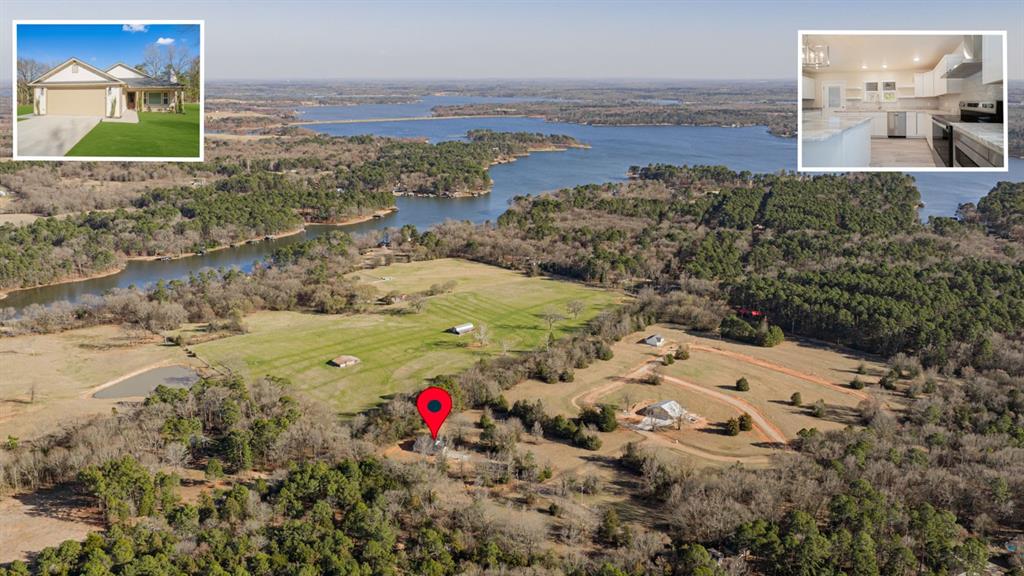 Tall Tree - Residential