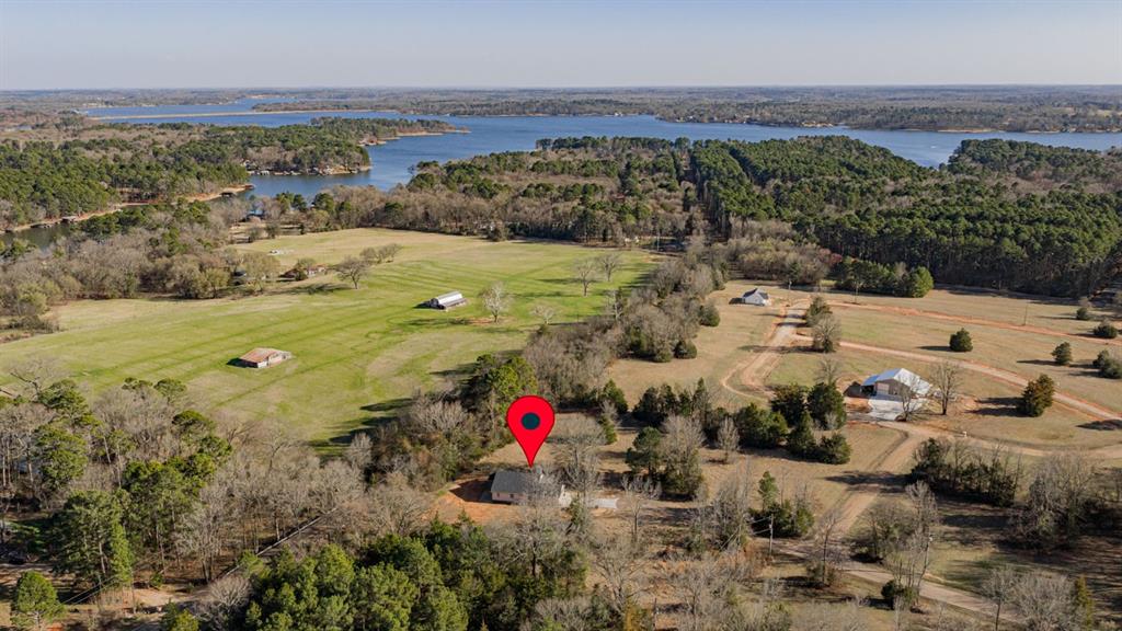 Tall Tree - Residential