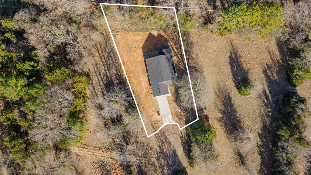 Tall Tree - Residential