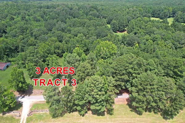 3 COUNTY RD 3117, CLARKSVILLE, TX 75426 - Image c07e0fac60e4498dc725b49f2c68331f/2758882107