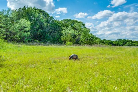 TBD County Road 175 Stephenville TX 76401