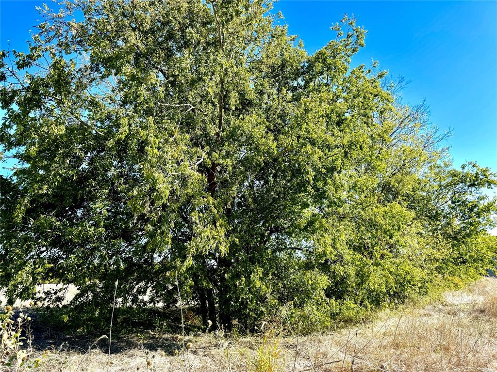 Lot 10 COUNTY ROAD 590