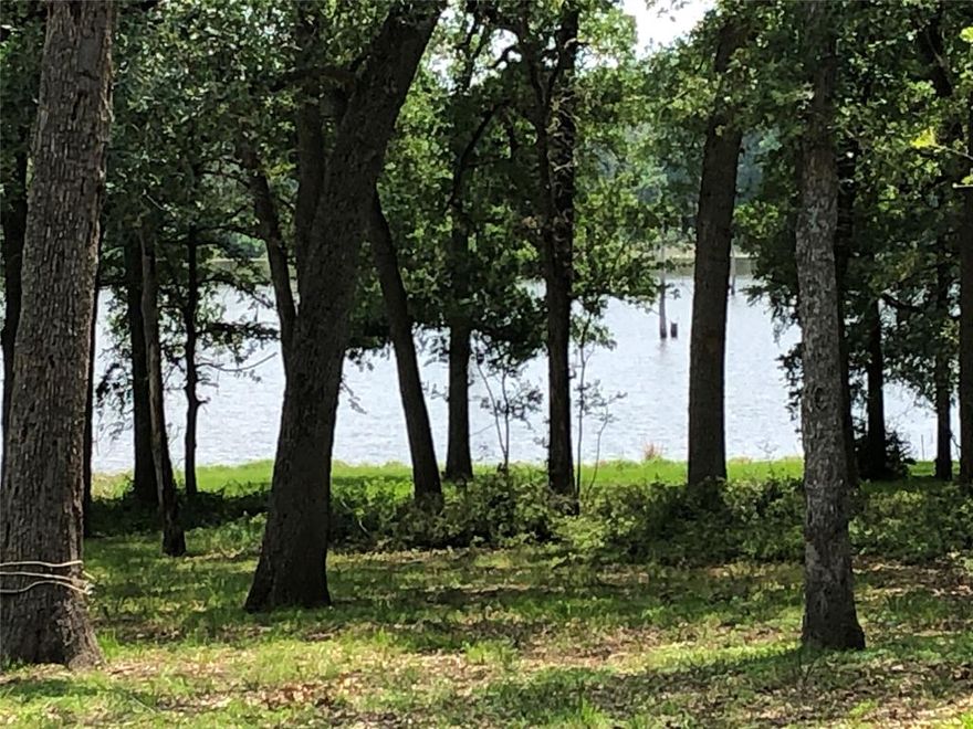 Located in one of the best crappie areas on the lake, this lot was cleared of underbrush a couple of years ago so it won't take much to get it back in shape. This is a nice quiet neighborhood. Property is located near the end of the road so traffic is low. Nice shade trees. Limestone County Park 2 with a free boat ramp is just minutes away. Great food is also close by at Old Union.
