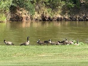 Horseshoe Bend - Land