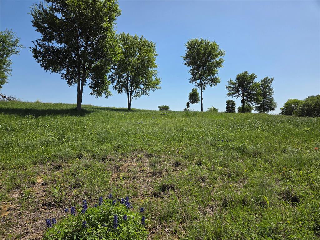 Richland Park - Land