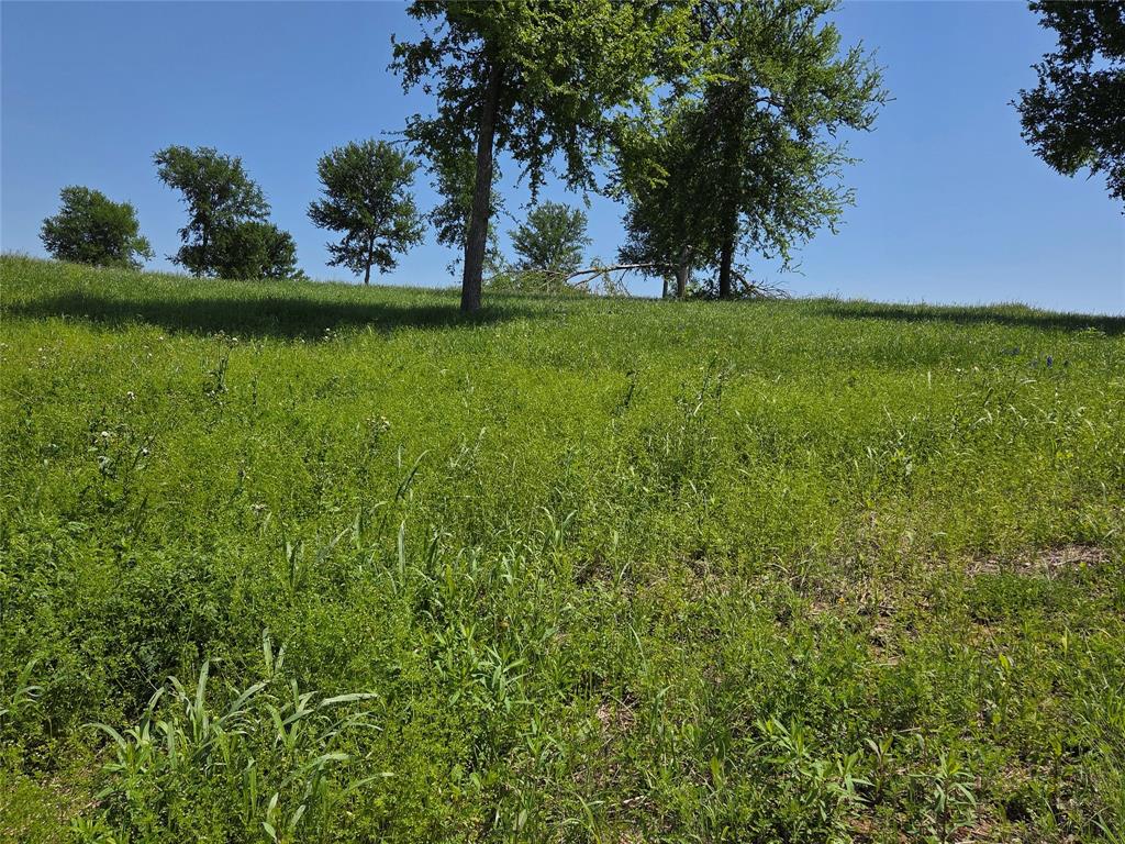 Richland Park - Land