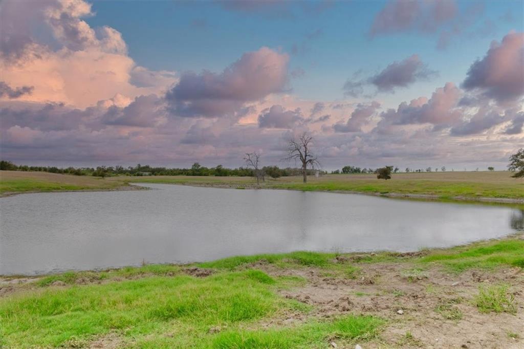 Mayhan Francis - Land