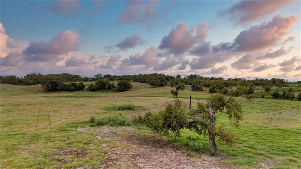 Mayhan Francis - Land