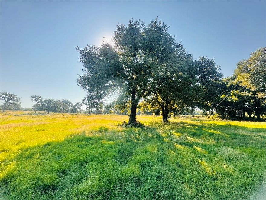 Take advantage of this rare opportunity to own 15 acres of tranquility in a beautiful country setting. Design your custom dream home to sit atop this breathtaking homesite already cleared and ready to build. This property is gracefully enveloped with gorgeous mature trees and perfect for livestock grazing. If you are a horse lover, this is a must see! Enjoy the country life while being located just minutes from The Shops of Highland Village, major grocery stores, restaurants, shopping and 25 minutes from DFW Airport. This property can be subdivided with approval of the city of Copper Canyon. There is a deeded access easement off of Jernigan Rd if the buyer chooses to subdivide. An access agreement off of Copper Canyon is a possibility if there is only one home. The metal barn on the property conveys. Electric service on site. Call today to request a land tour!