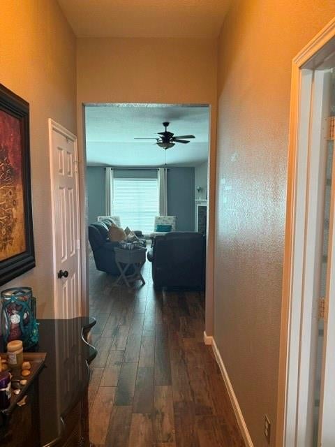 8513 Orlando Springs Drive