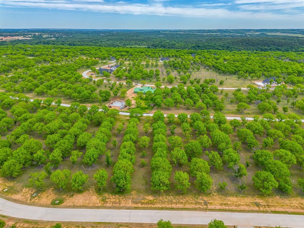 Pecan Plantation - Land