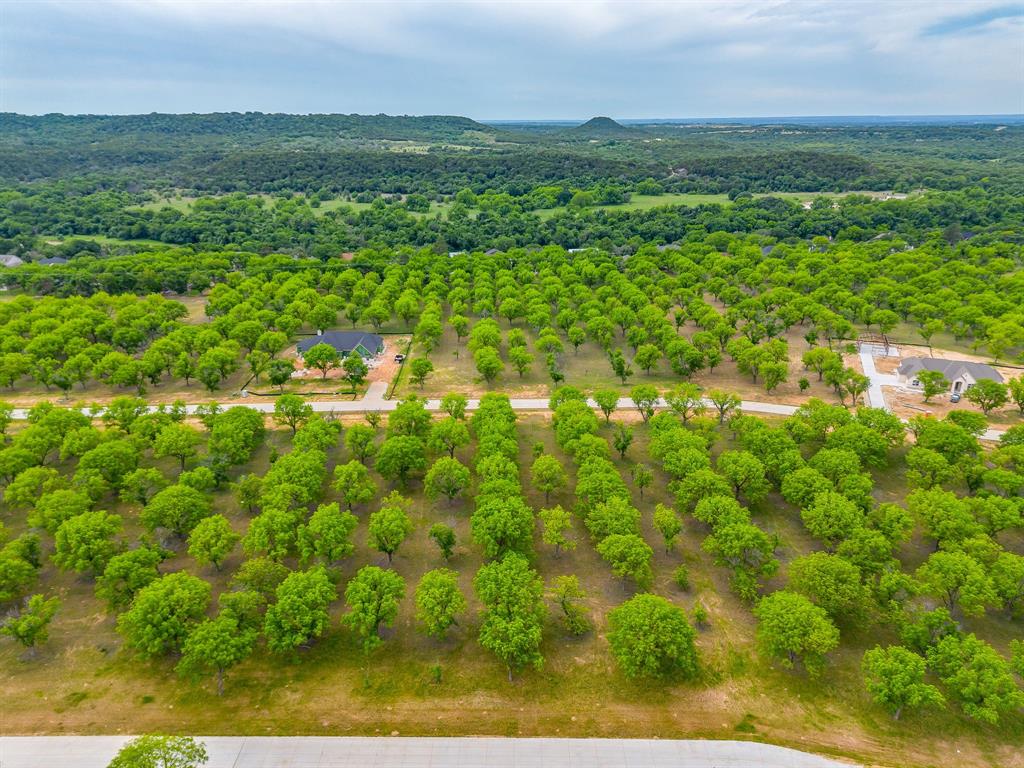 Pecan Plantation - Land