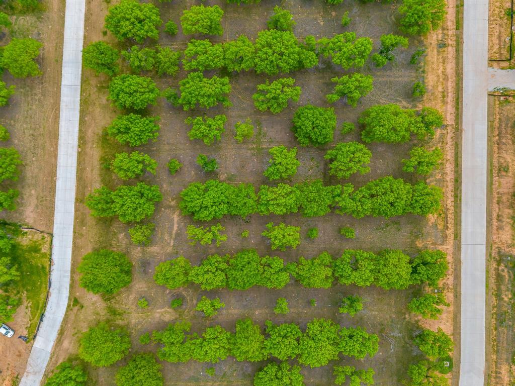 Pecan Plantation - Land