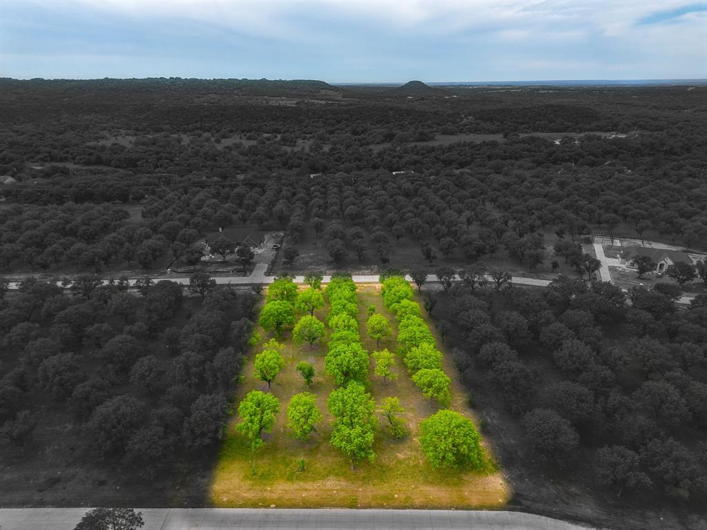 Pecan Plantation - Land
