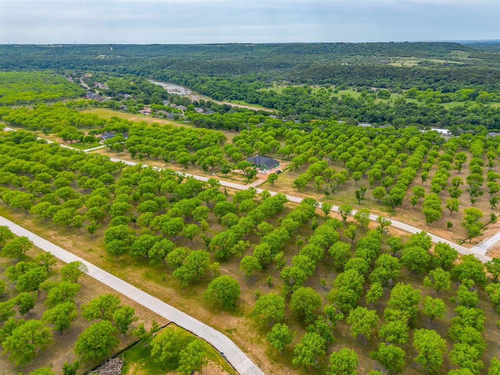 Pecan Plantation - Land