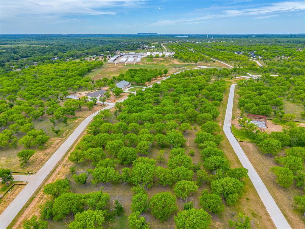 Pecan Plantation - Land