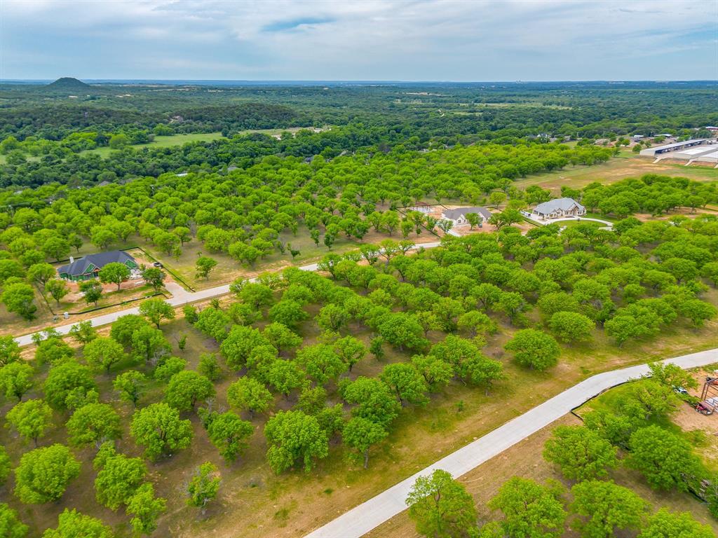 Pecan Plantation - Land
